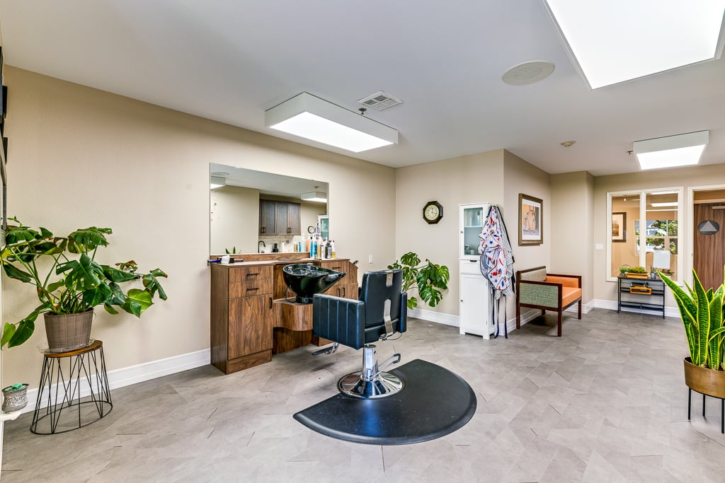 Professional Salon and Barber Shop